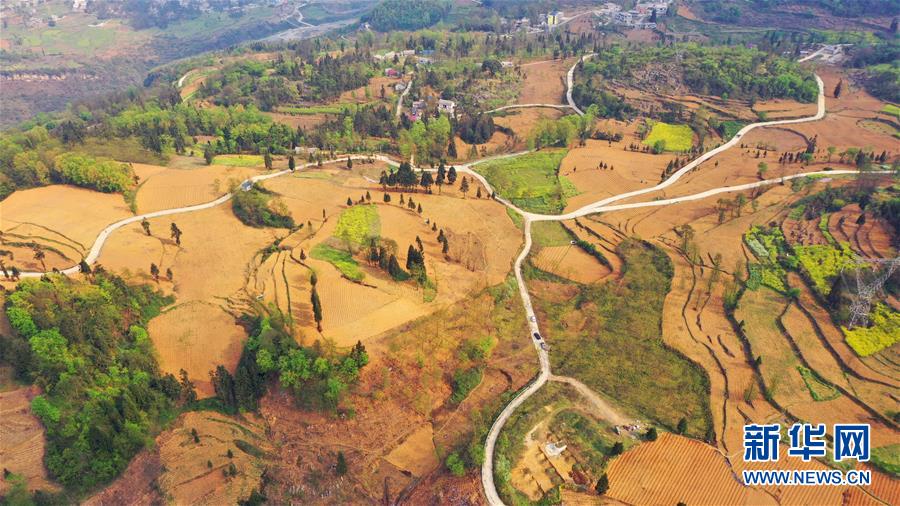 （決戰(zhàn)決勝脫貧攻堅(jiān)&middot;圖文互動(dòng)）（2）寄相思，償夙愿&mdash;&mdash;5封清明&ldquo;家書&rdquo;里的決戰(zhàn)決勝信念