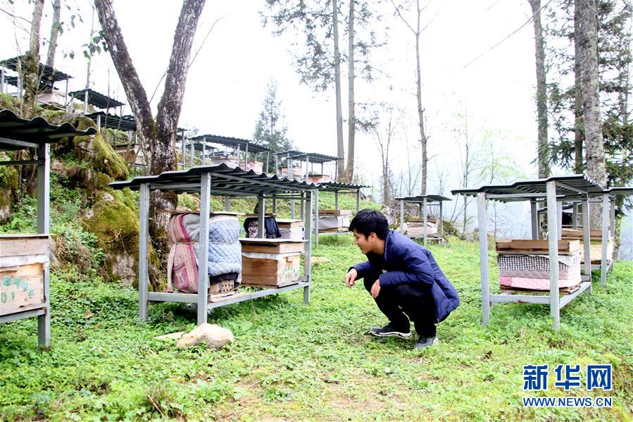 （決戰(zhàn)決勝脫貧攻堅(jiān)&middot;圖文互動(dòng)）（3）寄相思，償夙愿&mdash;&mdash;5封清明&ldquo;家書&rdquo;里的決戰(zhàn)決勝信念