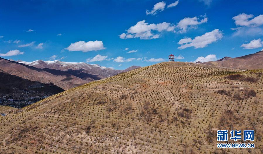 （新華全媒頭條&middot;圖文互動(dòng)）（6）三江之源見(jiàn)證中國(guó)奇跡&mdash;&mdash;寫在玉樹(shù)地震10周年之際