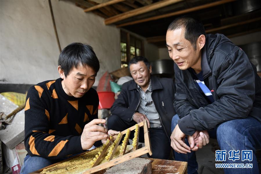 (決戰(zhàn)決勝脫貧攻堅·圖文互動)(3)一位農(nóng)民的產(chǎn)業(yè)扶貧成績單