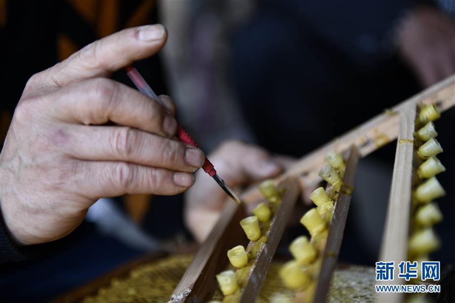 (決戰(zhàn)決勝脫貧攻堅·圖文互動)(4)一位農(nóng)民的產(chǎn)業(yè)扶貧成績單