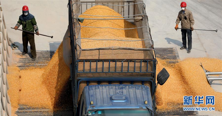 （在習近平新時代中國特色社會主義思想指引下&mdash;&mdash;新時代新作為新篇章&middot;習近平總書記關(guān)切事&middot;圖文互動）（7）春耕忙 信心足&mdash;&mdash;谷雨時節(jié)走馬東北直擊糧事