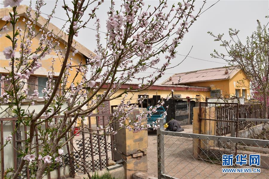 (圖文互動(dòng))(1)“桃花源”里話豐年 ——帕米爾山區(qū)一處扶貧搬遷點(diǎn)見(jiàn)聞
