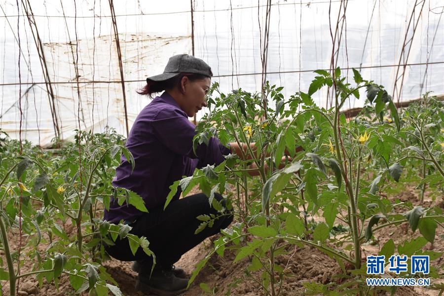 (圖文互動(dòng))(2)“桃花源”里話豐年 ——帕米爾山區(qū)一處扶貧搬遷點(diǎn)見(jiàn)聞