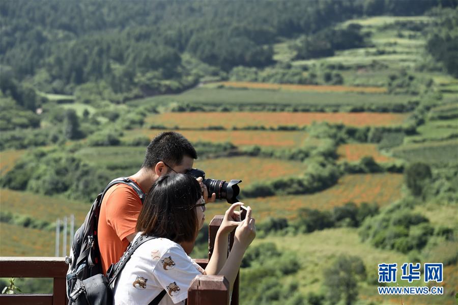 （圖文互動(dòng)）（1）這座小城，鐫刻下怎樣的&ldquo;世園印記&rdquo;&mdash;&mdash;北京世園會開園一周年探訪延慶
