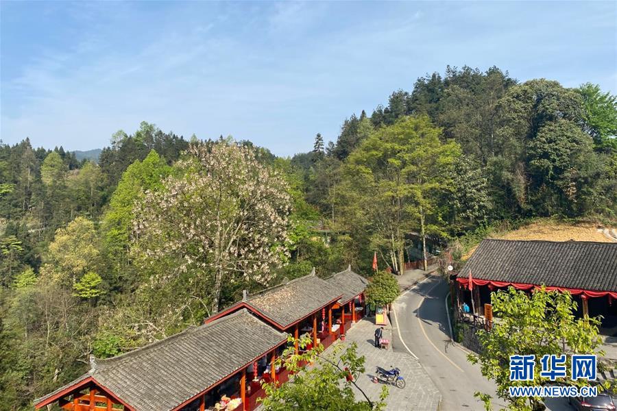 （決戰(zhàn)決勝脫貧攻堅(jiān)&middot;圖文互動(dòng)）（1）深山苗寨的別樣春天&mdash;&mdash;疫情下的十八洞村見聞