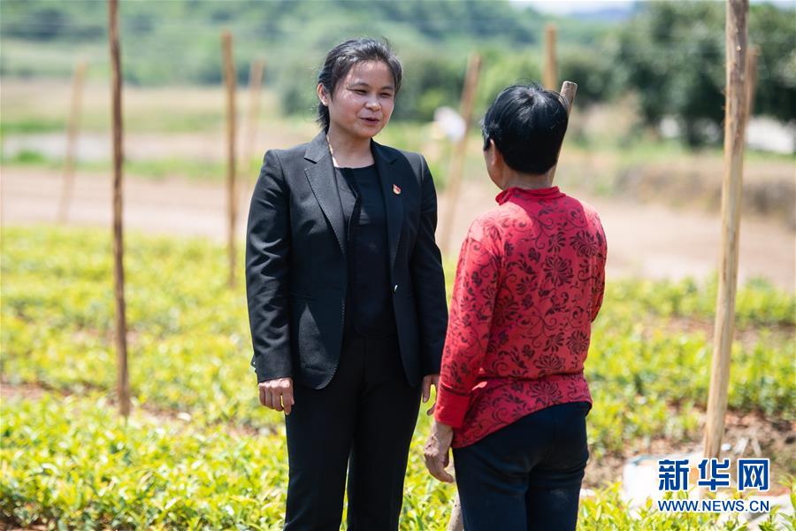 （圖文互動）（4）扶貧干部唐華容：治疾病也治&ldquo;窮病&rdquo;
