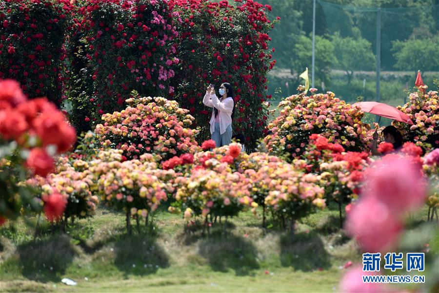 #（社會(huì)）（11）樂(lè)享&ldquo;五一&rdquo;假期