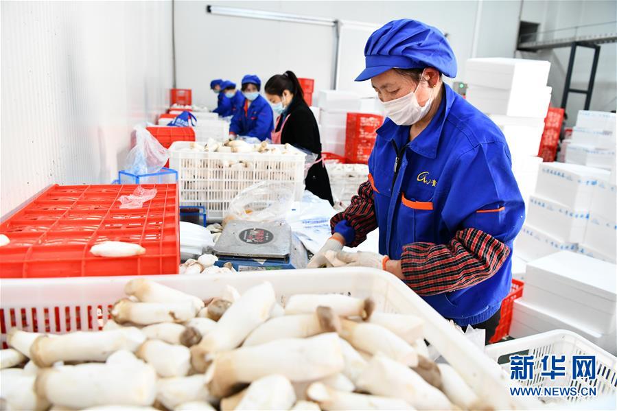 （決戰(zhàn)決勝脫貧攻堅(jiān)&middot;圖文互動(dòng)）（2）補(bǔ)短板 促就業(yè) 穩(wěn)增收&mdash;&mdash;貴州向脫貧&ldquo;硬骨頭&rdquo;發(fā)起總攻