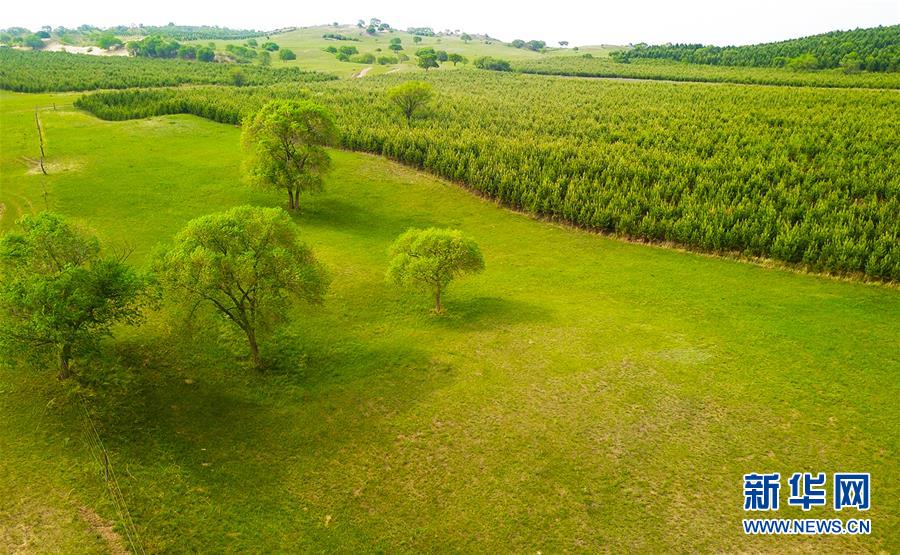 (新華全媒頭條·圖文互動(dòng))(1)京津最近“大沙盆”逆轉(zhuǎn)記
