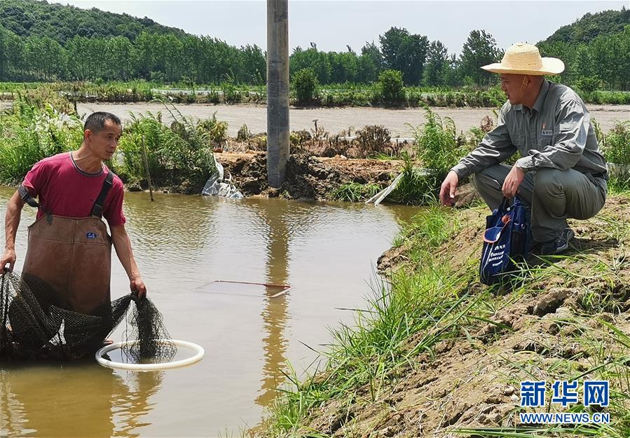 （決戰(zhàn)決勝脫貧攻堅(jiān)&middot;圖文互動(dòng)）（3）駐村第一書(shū)記當(dāng)起&ldquo;蝦農(nóng)&rdquo;&ldquo;牛倌&rdquo;