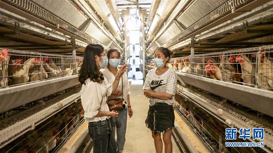 （新華全媒頭條&middot;圖文互動(dòng)）（4）基層天地廣闊 青春大有作為&mdash;&mdash;聚焦&ldquo;三支一扶&rdquo;計(jì)劃實(shí)施十五年