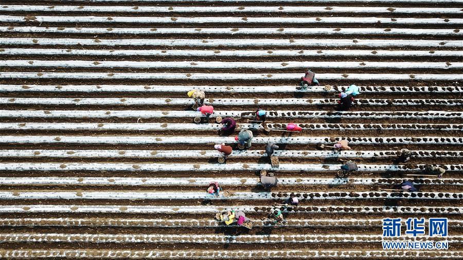 （在習(xí)近平新時(shí)代中國特色社會(huì)主義思想指引下&mdash;&mdash;新時(shí)代新作為新篇章&middot;習(xí)近平總書記關(guān)切事&middot;圖文互動(dòng)）（2）讓每一寸耕地都成為豐收的沃土&mdash;&mdash;我國加強(qiáng)耕地保護(hù)推進(jìn)&ldquo;藏糧于地&rdquo;