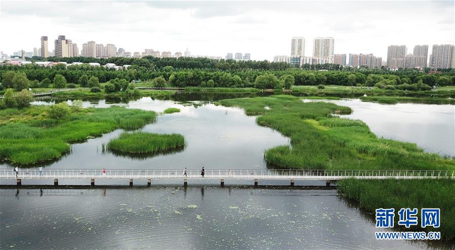 （走向我們的小康生活·圖文互動）（1）水清、地綠、空氣新——最北省份黑龍江繪就生態(tài)治理新畫卷