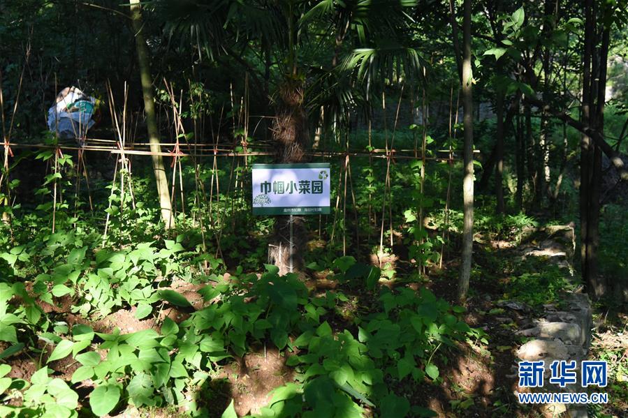 （鄉(xiāng)村振興&middot;圖文互動）（5）海壩成&ldquo;畫&rdquo;