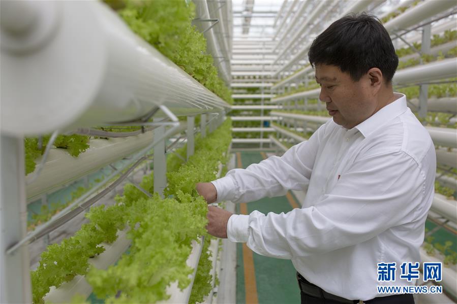 （新華全媒頭條&middot;圖文互動）（1）十任&ldquo;支書&rdquo;一個夢