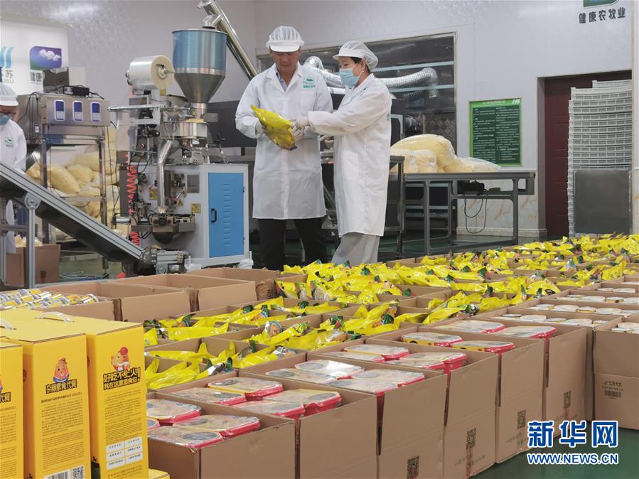 （決戰(zhàn)決勝脫貧攻堅(jiān)&middot;圖文互動）玉米&ldquo;變形&rdquo;記