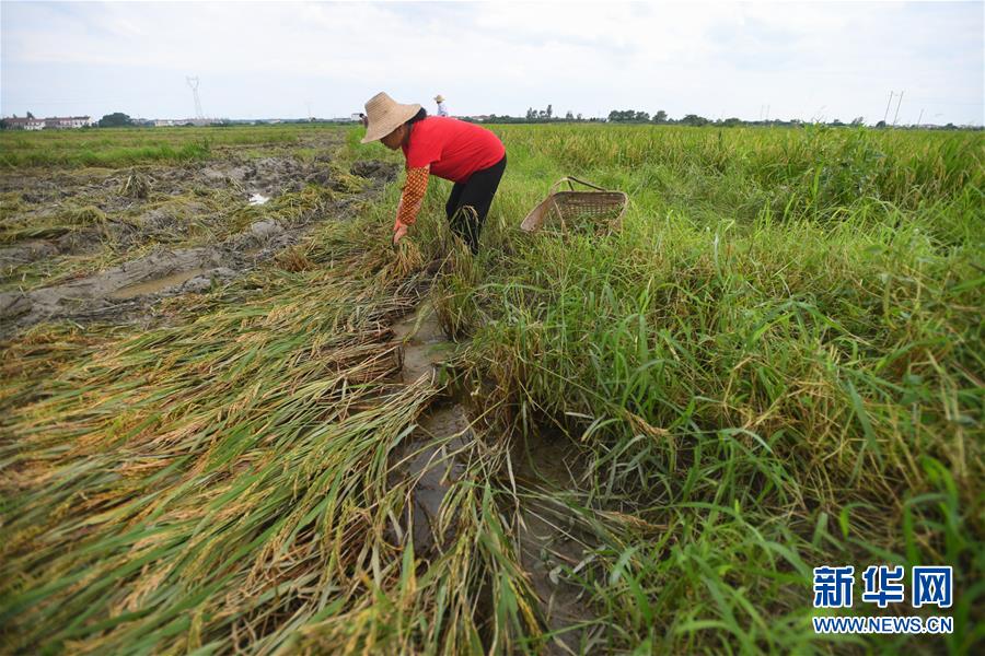 （新華全媒頭條&middot;圖文互動(dòng)）（13）為了人民群眾生命財(cái)產(chǎn)安全&mdash;&mdash;聚焦關(guān)鍵時(shí)期全國防汛抗洪工作