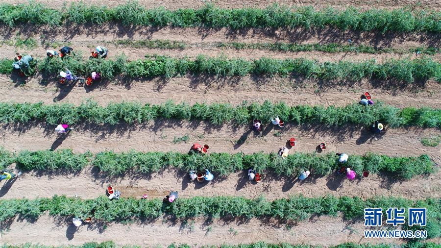 （走向我們的小康生活&middot;圖文互動）（7）西海固換了新模樣