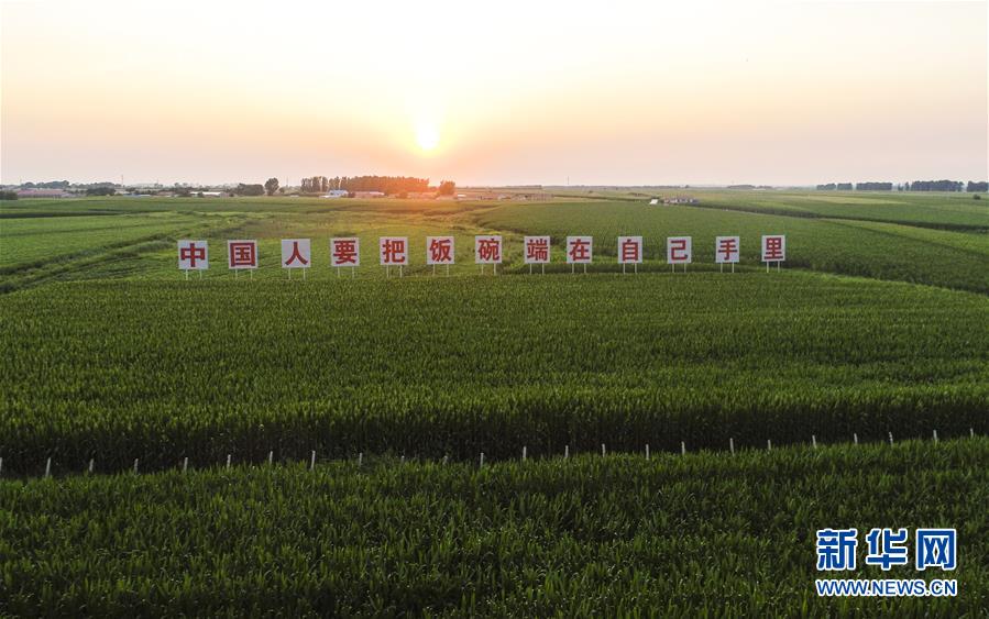 （在習(xí)近平新時代中國特色社會主義思想指引下&mdash;&mdash;新時代新作為新篇章&middot;習(xí)近平總書記關(guān)切事&middot;圖文互動）（1）讓百姓吃得飽還要吃得好&mdash;&mdash;夯實(shí)糧食安全基礎(chǔ)端牢中國飯碗