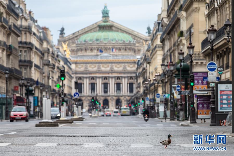 （國際&middot;圖文互動(dòng)）（4）特稿：穿越寒暑 無問西東&mdash;&mdash;寫在新冠疫情構(gòu)成&ldquo;國際關(guān)注的突發(fā)公共衛(wèi)生事件&rdquo;半年之際