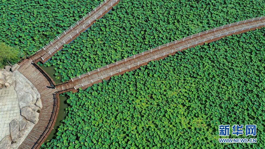 （在習近平新時代中國特色社會主義思想指引下&mdash;&mdash;新時代新作為新篇章&middot;習近平總書記關切事&middot;圖文互動）（9）綠色映底蘊，山水見初心&mdash;&mdash;生態(tài)優(yōu)先、綠色發(fā)展持續(xù)造福群眾美好生活