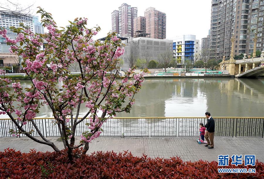（新華全媒頭條·走向我們的小康生活·圖文互動(dòng)）（12）城市，讓人民生活更美好