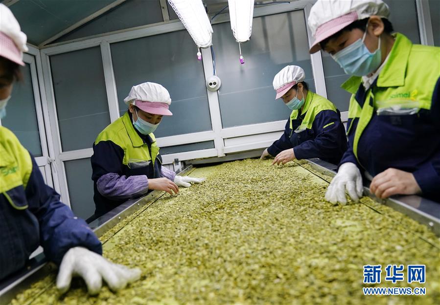 （在習(xí)近平新時(shí)代中國(guó)特色社會(huì)主義思想指引下&mdash;&mdash;新時(shí)代新作為新篇章&middot;習(xí)近平總書(shū)記關(guān)切事&middot;圖文互動(dòng)）（5）激發(fā)每個(gè)經(jīng)濟(jì)&ldquo;細(xì)胞&rdquo;的活力&mdash;&mdash;千方百計(jì)把市場(chǎng)主體保護(hù)好