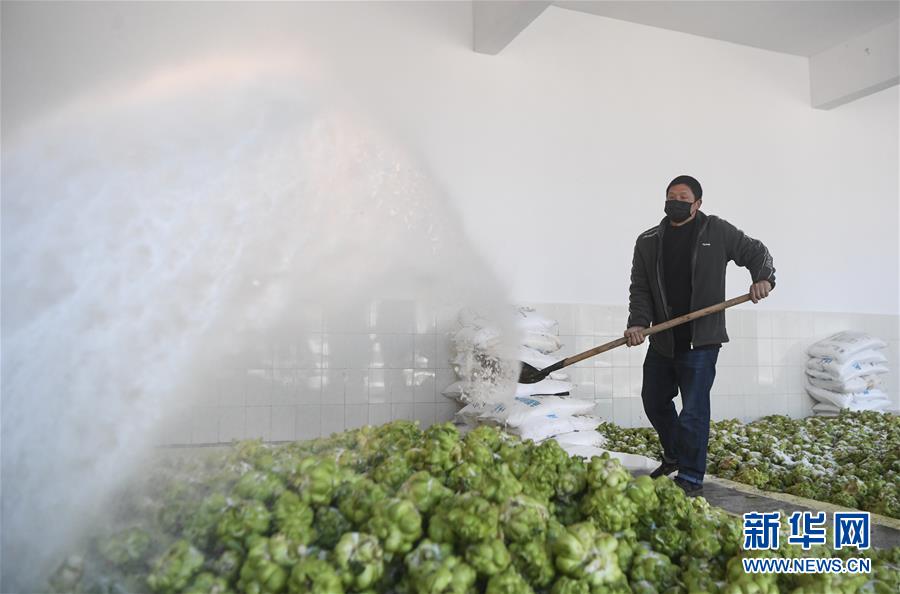 （新華全媒頭條&middot;走向我們的小康生活&middot;圖文互動(dòng)）（6）大城大鄉(xiāng)的&ldquo;幸福協(xié)奏曲&rdquo;&mdash;&mdash;重慶推動(dòng)高質(zhì)量發(fā)展創(chuàng)造高品質(zhì)生活紀(jì)事