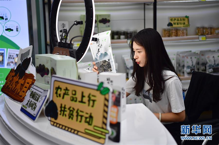 （走向我們的小康生活&middot;圖文互動(dòng)）（3）綠了青山，紅了日子&mdash;&mdash;秦巴山區(qū)群眾繪出小康&ldquo;調(diào)色板&rdquo;