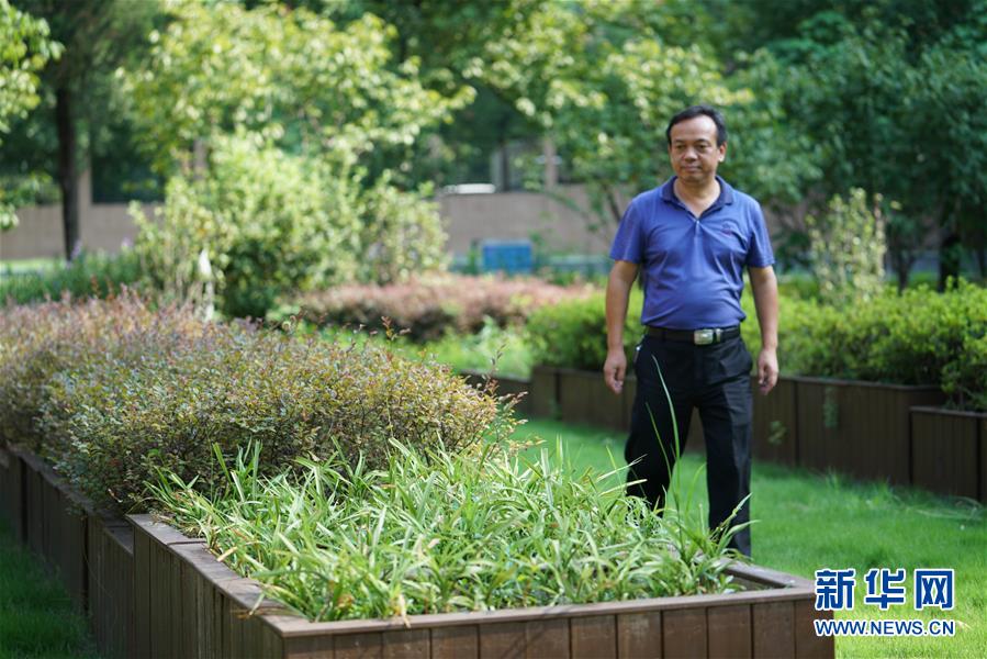 (圖文互動(dòng))(1)“綠灰白”破解城市內(nèi)澇之“囧”