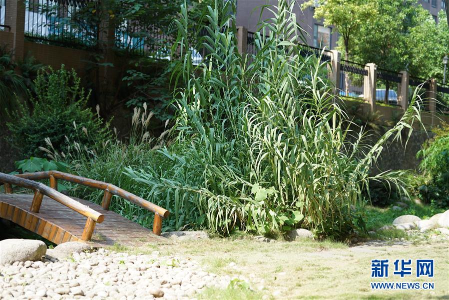 (圖文互動(dòng))(4)“綠灰白”破解城市內(nèi)澇之“囧”