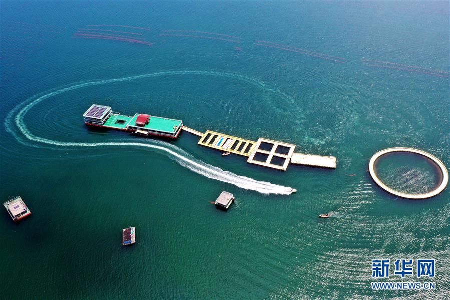 (圖文互動)(2)把“試驗田”種成“高產(chǎn)田”——記中國(山東)自由貿(mào)易試驗區(qū)設(shè)立一周年