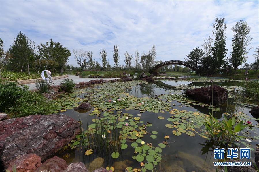（新華全媒頭條&middot;走向我們的小康生活&middot;圖文互動）（1）&ldquo;繡&rdquo;出古都新生活&mdash;&mdash;城市精細(xì)化治理的北京探索