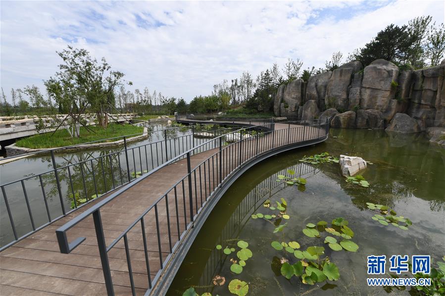 （新華全媒頭條&middot;走向我們的小康生活&middot;圖文互動）（2）&ldquo;繡&rdquo;出古都新生活&mdash;&mdash;城市精細(xì)化治理的北京探索