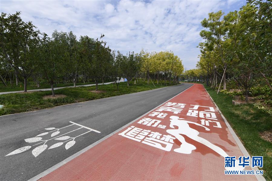 （新華全媒頭條&middot;圖文互動）（3）&ldquo;繡&rdquo;出古都新生活&mdash;&mdash;城市精細(xì)化治理的北京探索