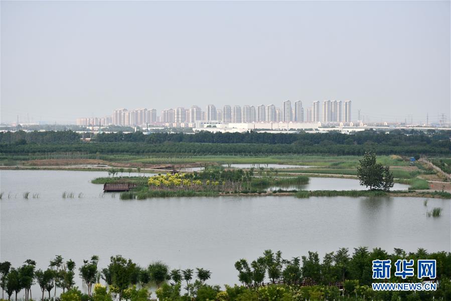 (新華全媒頭條·走向我們的小康生活·圖文互動(dòng))(2)沽水流霞正美好——天津“工筆”繪就“小康圖”