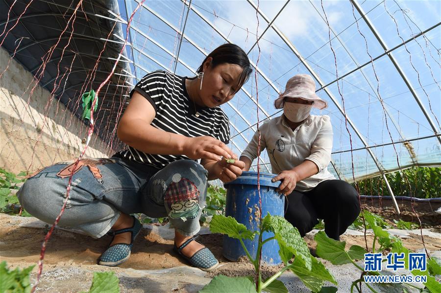 （新華全媒頭條&middot;走向我們的小康生活&middot;圖文互動(dòng)）（5）&ldquo;苦甲&rdquo;不再，&ldquo;甘味&rdquo;綿長(zhǎng)&mdash;&mdash;脫貧攻堅(jiān)的甘肅味道