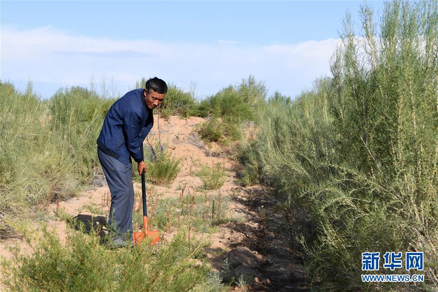 （新華全媒頭條&middot;走向我們的小康生活&middot;圖文互動(dòng)）（8）&ldquo;苦甲&rdquo;不再，&ldquo;甘味&rdquo;綿長(zhǎng)&mdash;&mdash;脫貧攻堅(jiān)的甘肅味道
