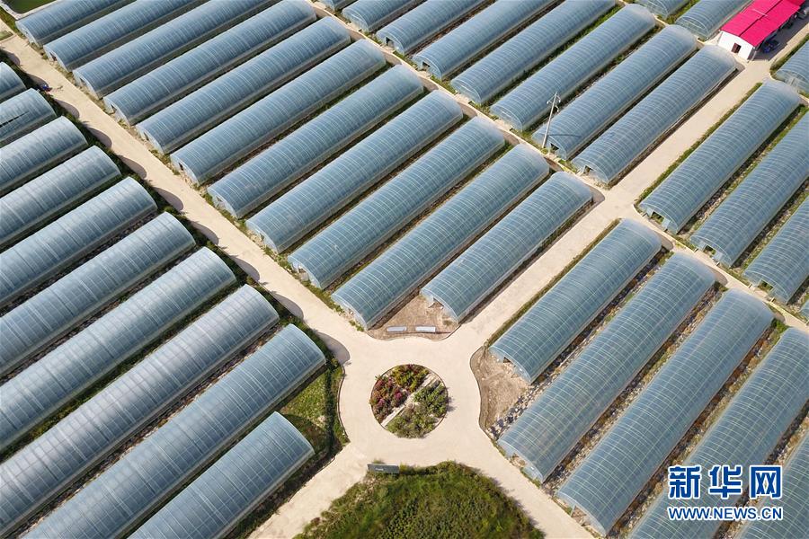 （新華全媒頭條&middot;走向我們的小康生活&middot;圖文互動(dòng)）（11）&ldquo;苦甲&rdquo;不再，&ldquo;甘味&rdquo;綿長(zhǎng)&mdash;&mdash;脫貧攻堅(jiān)的甘肅味道