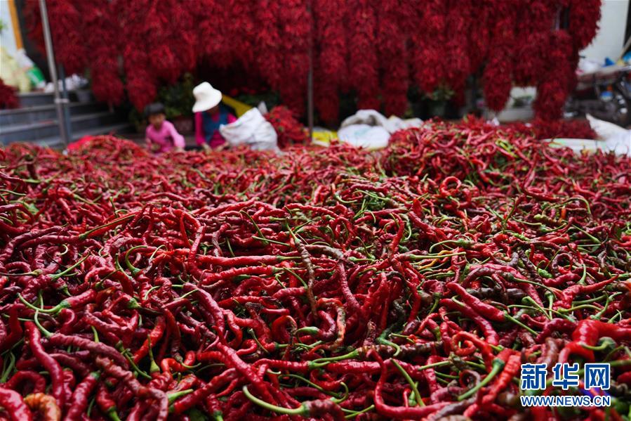 （走向我們的小康生活&middot;決戰(zhàn)決勝脫貧攻堅&middot;圖文互動）（7）甘青交界處的跨越&mdash;&mdash;保安族、撒拉族的脫貧故事 