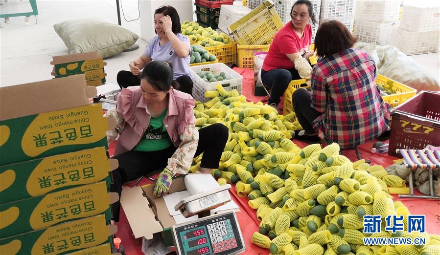 （決戰(zhàn)決勝脫貧攻堅&middot;圖文互動）（3）同飲一江水 攜手&ldquo;斬窮根&rdquo;&mdash;&mdash;深圳對口廣西河池、百色扶貧協(xié)作見聞