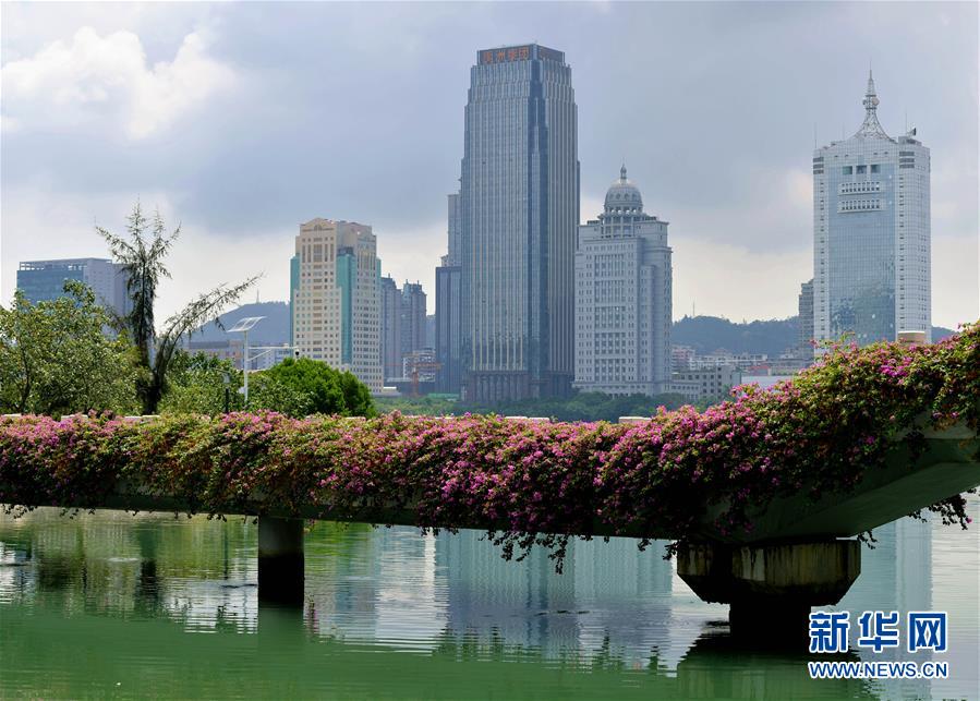 (特區(qū)40年?圖文互動)(7)廈庇五洲客 門納萬頃濤——廈門經(jīng)濟特區(qū)40年發(fā)展紀實