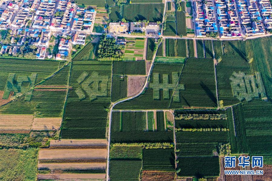 （新華全媒頭條&middot;圖文互動(dòng)）（3）天道酬勤的大地贊歌&mdash;&mdash;寫在第三個(gè)中國農(nóng)民豐收節(jié)之際