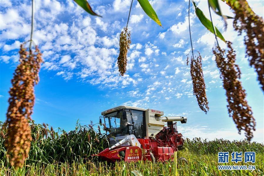 （新華全媒頭條&middot;圖文互動(dòng)）（5）天道酬勤的大地贊歌&mdash;&mdash;寫在第三個(gè)中國農(nóng)民豐收節(jié)之際