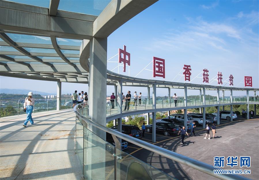 （新華全媒頭條&middot;走向我們的小康生活&middot;圖文互動）（2）特殊之年，荊楚大地書寫不平凡的答卷