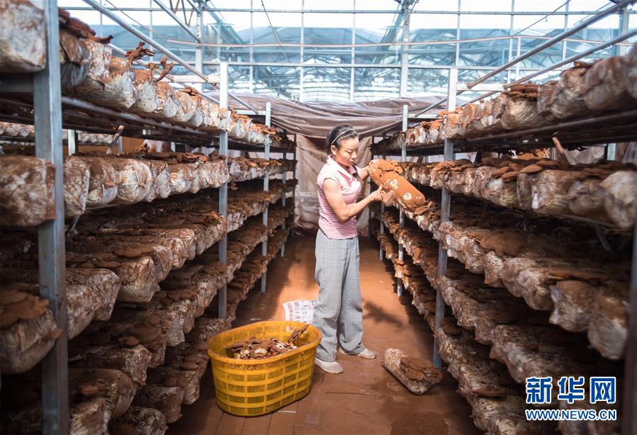 （新華全媒頭條&middot;走向我們的小康生活&middot;圖文互動）（3）特殊之年，荊楚大地書寫不平凡的答卷