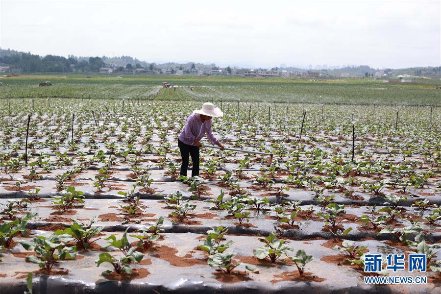 （新華全媒頭條&middot;走向我們的小康生活&middot;決戰(zhàn)決勝脫貧攻堅(jiān)&middot;圖文互動(dòng)）（3）千年之渴今朝解&mdash;&mdash;貴州貧困群眾實(shí)現(xiàn)&ldquo;吃水不愁&rdquo;