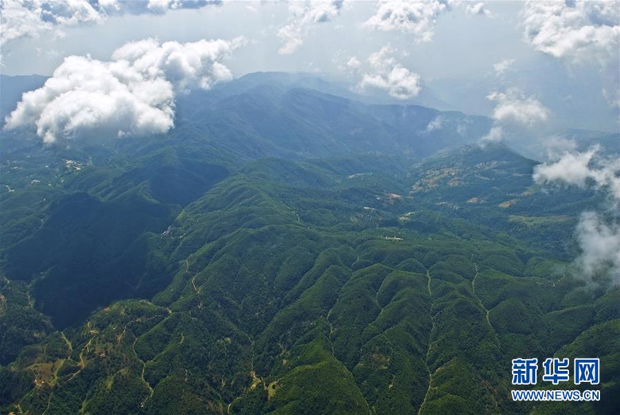 （熱點(diǎn)鮮報(bào)&middot;圖文互動）（1）善洲精神永相傳：留下一片綠洲 造福家鄉(xiāng)百姓