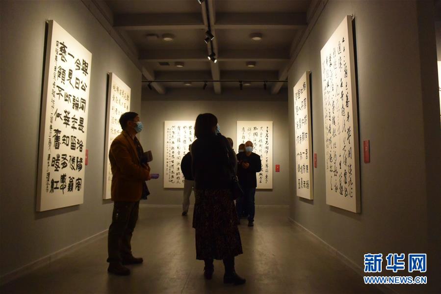（新華網(wǎng)&middot;圖文互動(dòng)）（3）&ldquo;黃河明珠&mdash;&mdash;龍門石窟國際書法名家邀請展&rdquo;開展